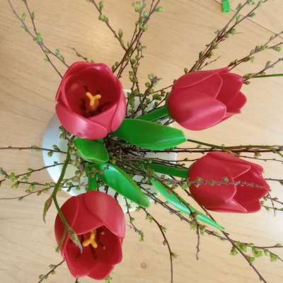 Phụ kiện cho tulip (Zubehör für Tulpe / add-on for the tulip)