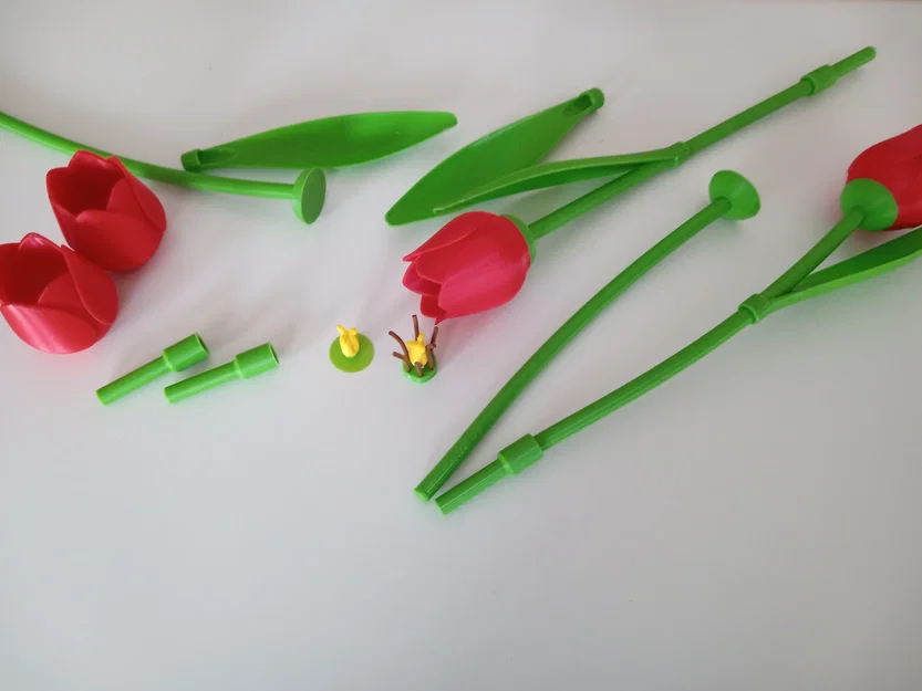 Phụ kiện cho tulip (Zubehör für Tulpe / add-on for the tulip) - Image 3