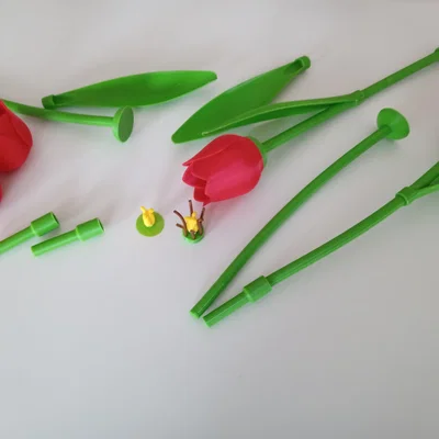 Phụ kiện cho tulip (Zubehör für Tulpe / add-on for the tulip)