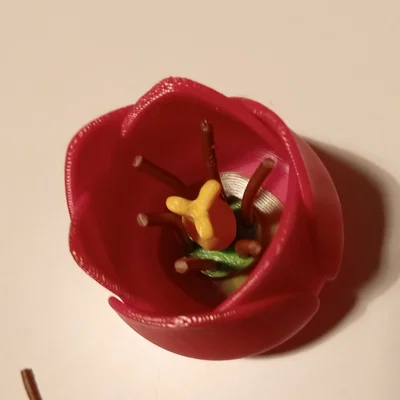 Phụ kiện cho tulip (Zubehör für Tulpe / add-on for the tulip)