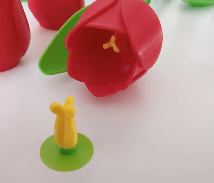 Phụ kiện cho tulip (Zubehör für Tulpe / add-on for the tulip) - Image 5