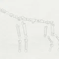 Đồ chơi sư tử tạo dáng (Lion Poseable Toy) - Thumbnail 10