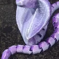 Đồ chơi Arbok khớp (Articulated Arbok Toy) - Thumbnail 3