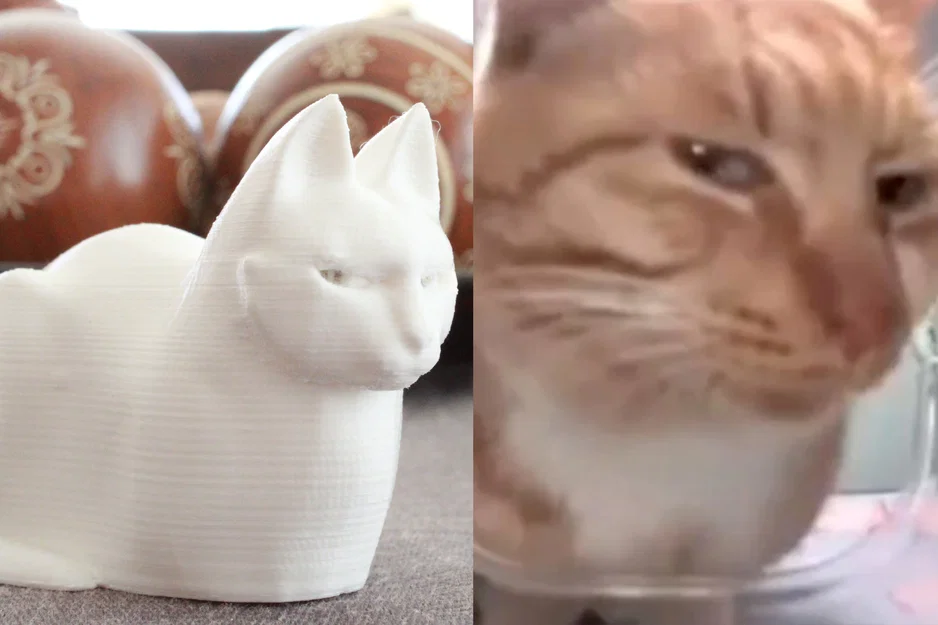 MrFresh aka Mèo Nhìn Xéo (The Side-Eye Cat) - Image 1