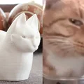 MrFresh aka Mèo Nhìn Xéo (The Side-Eye Cat) - Thumbnail 1