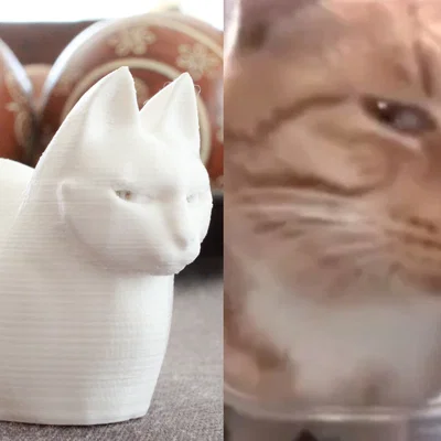 MrFresh aka Mèo Nhìn Xéo (The Side-Eye Cat)