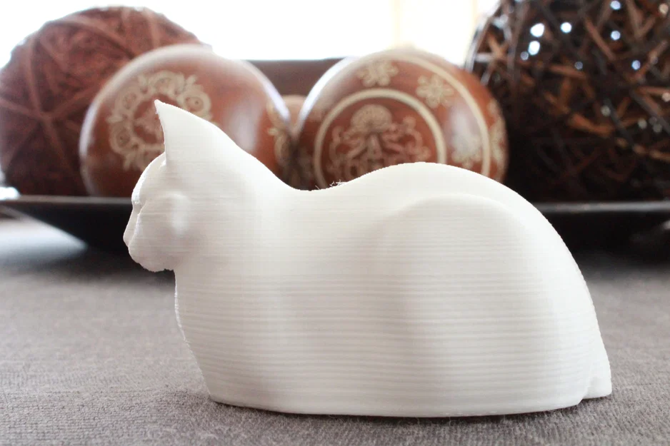 MrFresh aka Mèo Nhìn Xéo (The Side-Eye Cat) - Image 5