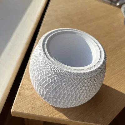 Chậu trồng cây 3D hai lớp thiết kế đan lưới độc đáo
