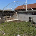 Nhà kính vòm Geodesic (Geodesic Dome / Greenhouse) - Thumbnail 12