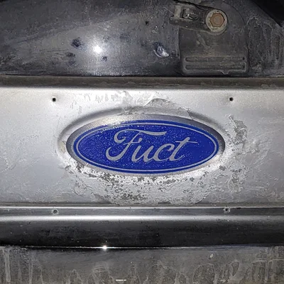 Fuct Ford Emblem