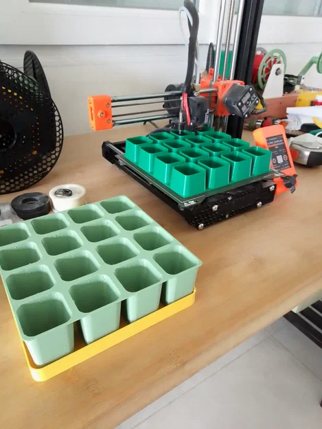 Khay ươm cây con không đáy (seedling plate - plaque à semis) - Image 1