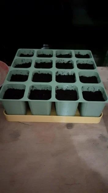 Khay ươm cây con không đáy (seedling plate - plaque à semis) - Image 3