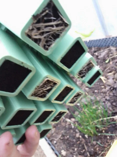 Khay ươm cây con không đáy (seedling plate - plaque à semis) - Image 4