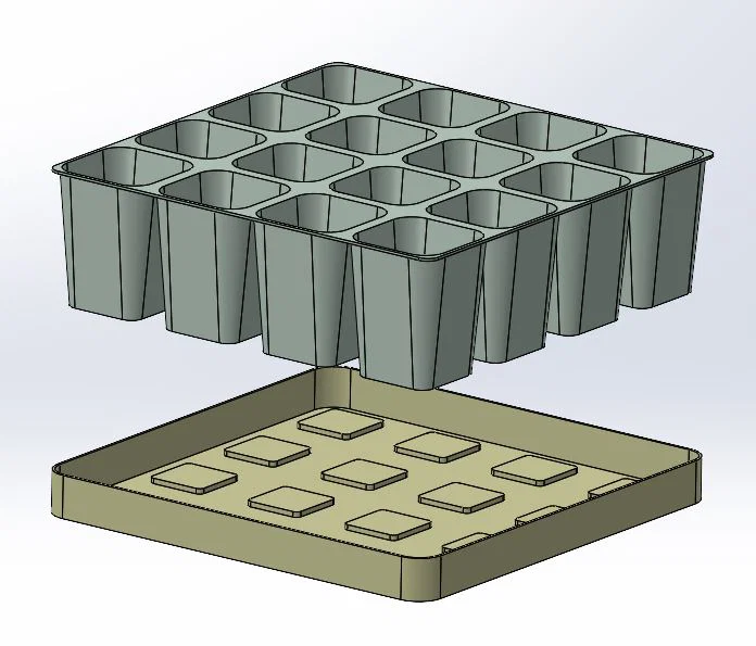 Khay ươm cây con không đáy (seedling plate - plaque à semis) - Image 8