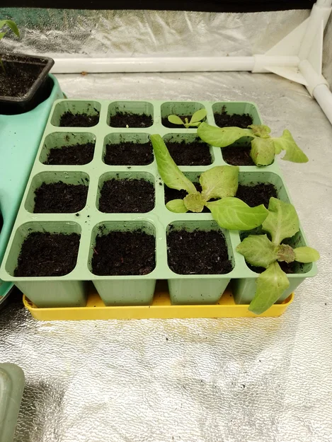 Khay ươm cây con không đáy (seedling plate - plaque à semis) - Image 12