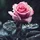 FungusAmongU_2542102