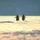 livermore_3451854