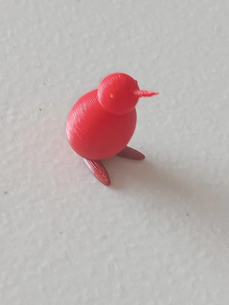 Chim Kiwi (Kiwi Bird) - Image 2