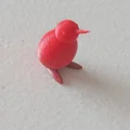 Chim Kiwi (Kiwi Bird) - Thumbnail 2