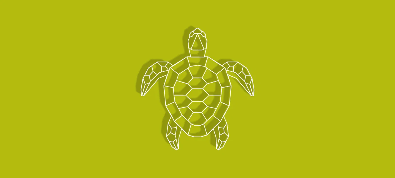 Rùa Hình Học (Geometric Turtle) - Image 1