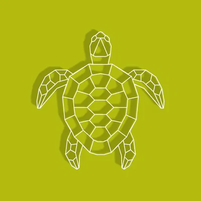 Rùa Hình Học (Geometric Turtle)