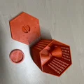 Bẫy theo dõi ong vò vẽ châu Á (Vespa velutina) - Thumbnail 2