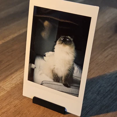 Kệ đỡ ảnh Instax mini (Instax mini Holder) tối giản