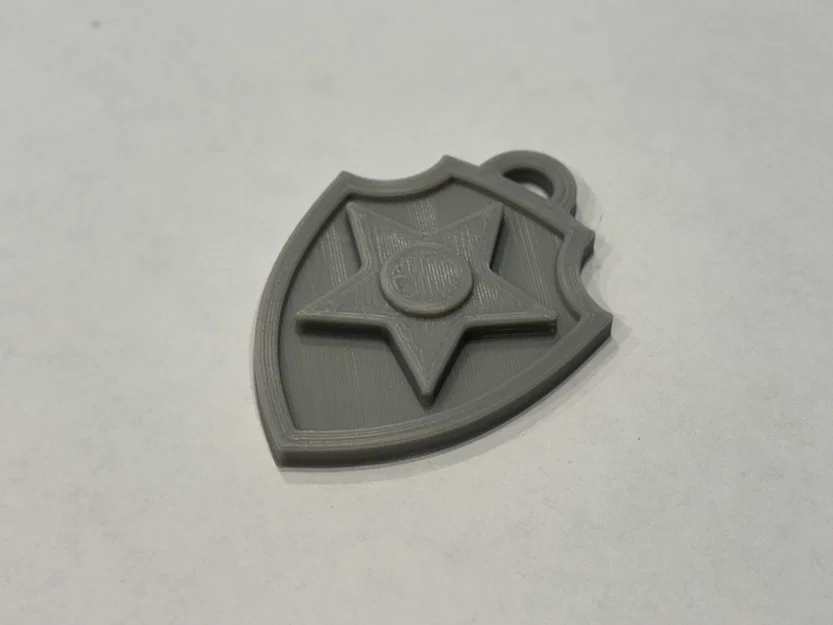 Bộ huy hiệu Paw Patrol (Paw Patrol Dog Tags) in 3D cực xinh - Image 3