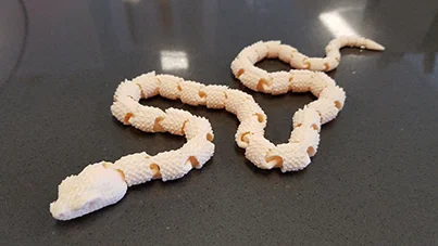 Snake with Scales version2 (Rắn có vảy bản v2) - Image 1