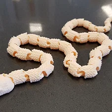 Snake with Scales version2 (Rắn có vảy bản v2)