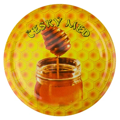 Bẫy ong vò vẽ châu Á (Vespa velutina) cho hũ mật ong kiểu Séc