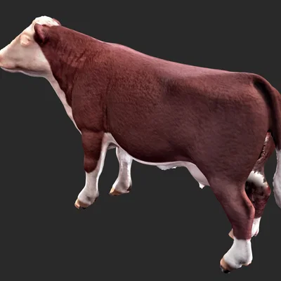 Mô hình chú bò (Toy Cow) in 3D chi tiết cực đẹp