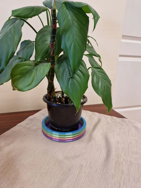 Flower Pool - Khay hứng nước chậu cây đẹp mắt từ in 3D - Image 3