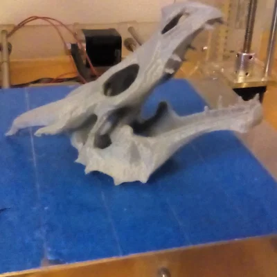 Mô hình đầu rồng Skyrim phong cách Lowpoly in 3D cực chất