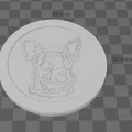 Bộ Lót Ly Hình Đầu Các Giống Chó (Dog Breed Coasters) - Thumbnail 6