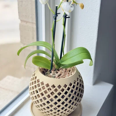 Giỏ trồng lan tròn (Orchid basket, round)