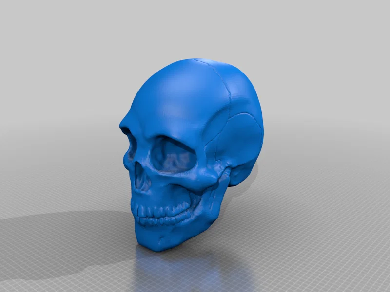 Hollow Skull (Sọ Rỗng) - Image 1