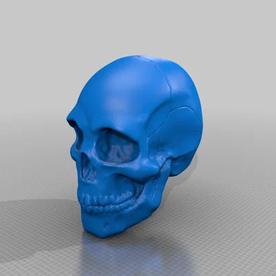 Hollow Skull (Sọ Rỗng)