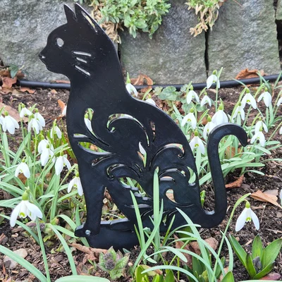 Mèo trang trí sân vườn (Cat - Garden decoration)