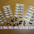 Kit Card nắp che ốc Panhead cho M3, M4, M5 & M6 - Thumbnail 1