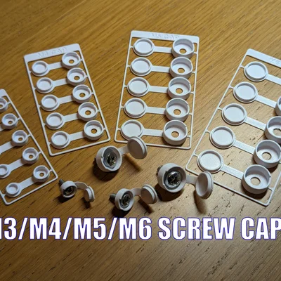 Kit Card nắp che ốc Panhead cho M3, M4, M5 & M6