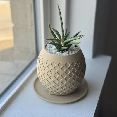 Chậu succulent họa tiết kim cương