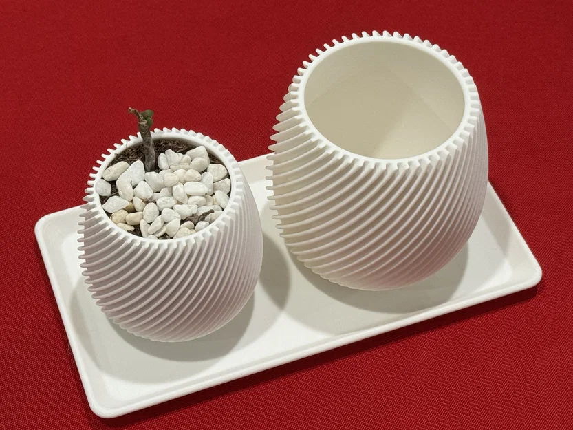 Khay 3D đơn giản đựng chậu cây sen đá, xương rồng gọn gàng - Image 2