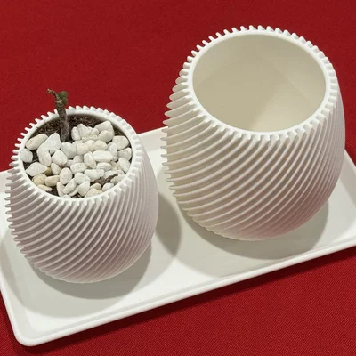 Khay 3D đơn giản đựng chậu cây sen đá, xương rồng gọn gàng