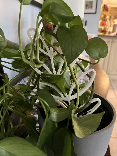 Giàn leo cây lá dày (Thicc Leafy Plant Trellis) - Image 1