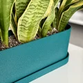 Chậu dài Long pot - Thumbnail 3