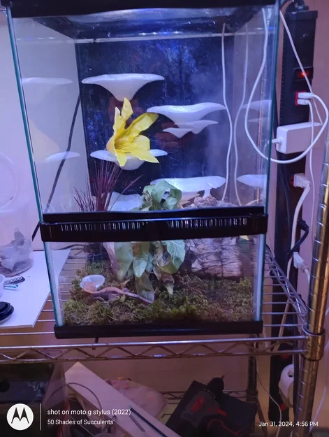 Gecko Shroom Wall - Mô hình nấm 3D trang trí chuồng bò sát độc đáo - Image 1