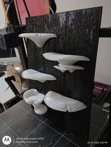 Gecko Shroom Wall - Mô hình nấm 3D trang trí chuồng bò sát độc đáo - Image 2