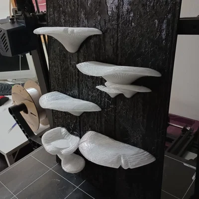 Gecko Shroom Wall - Mô hình nấm 3D trang trí chuồng bò sát độc đáo