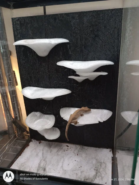 Gecko Shroom Wall - Mô hình nấm 3D trang trí chuồng bò sát độc đáo - Image 3